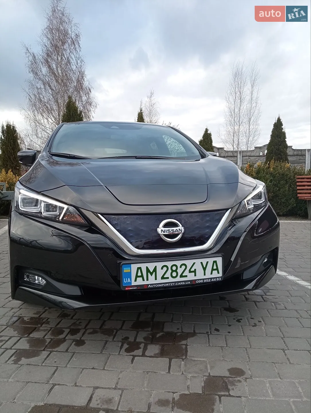 Nissan Leaf, 2021
