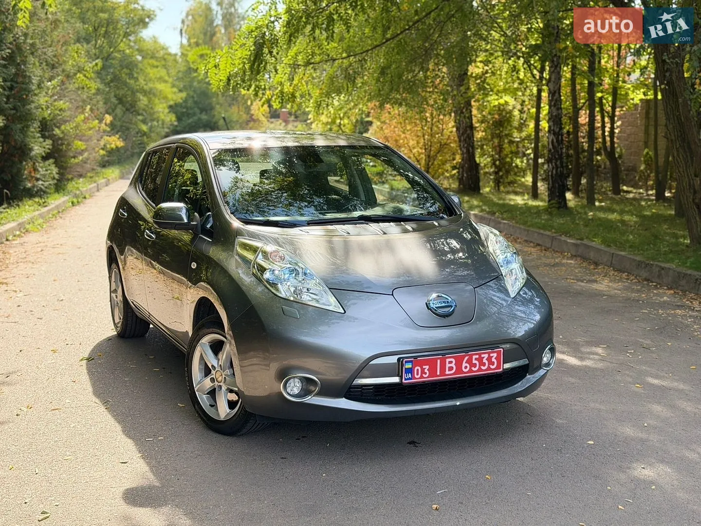 Nissan Leaf, 2013