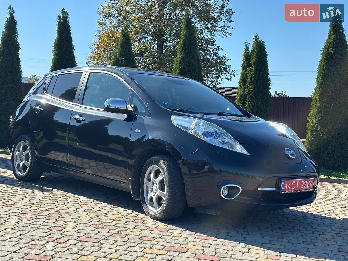 Nissan Leaf, 2013