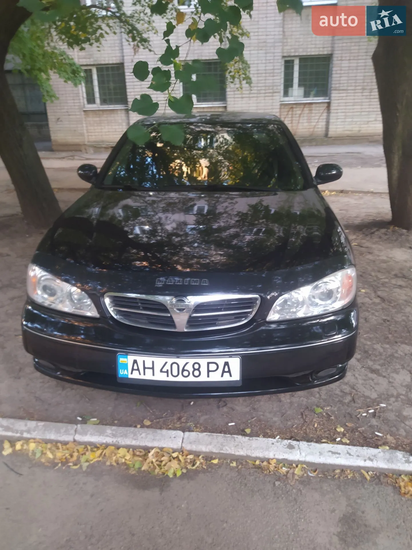 Nissan Maxima, 2001