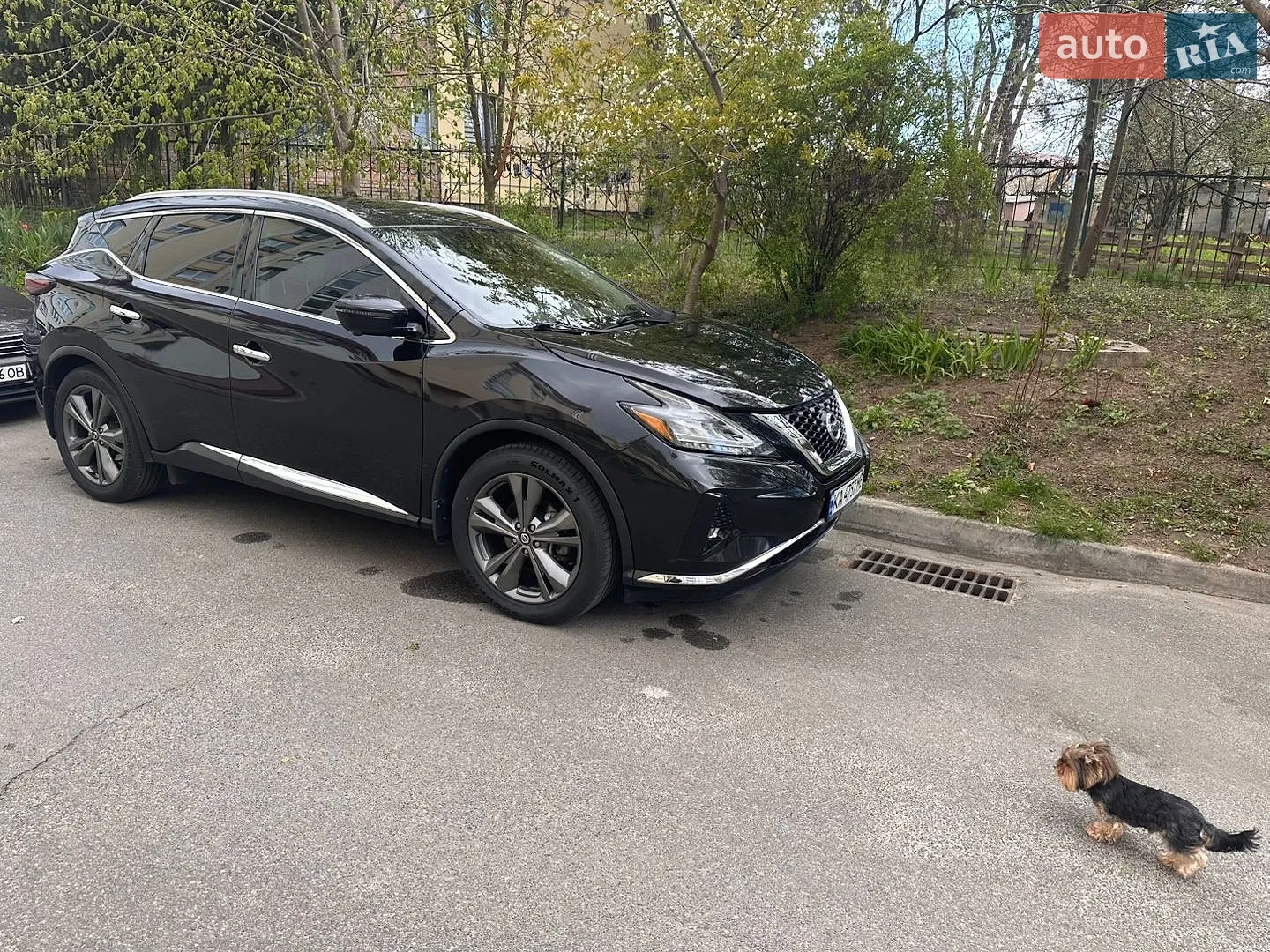 Nissan Murano, 2019