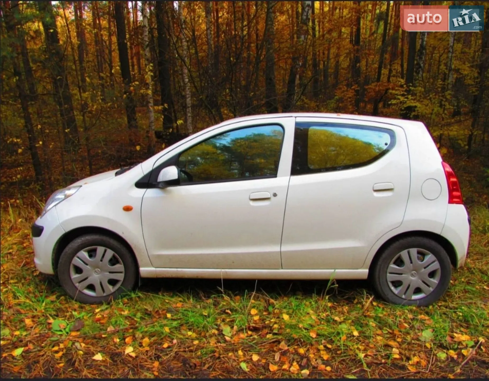 Nissan Pixo, 2010