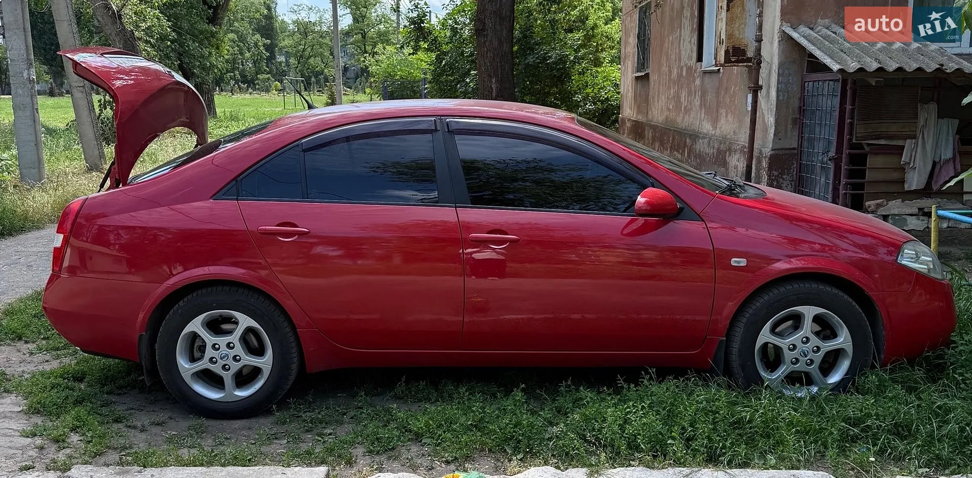 Nissan Primera, 2003