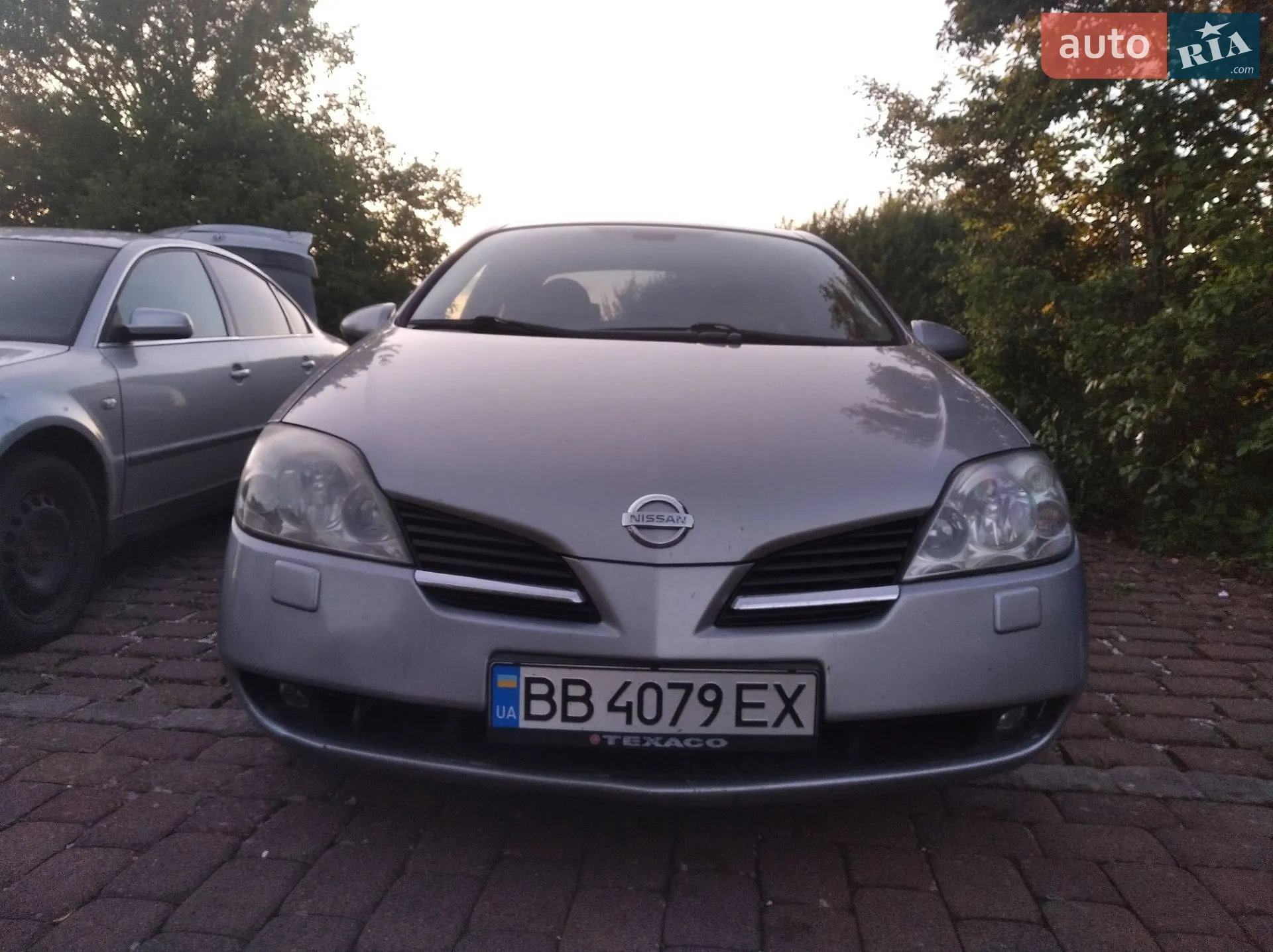 Nissan Primera, 2003
