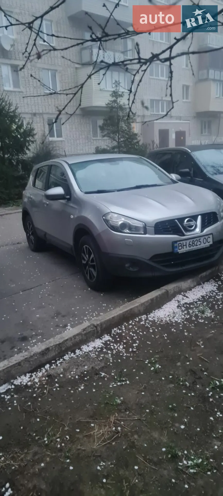 Nissan Qashqai, 2010