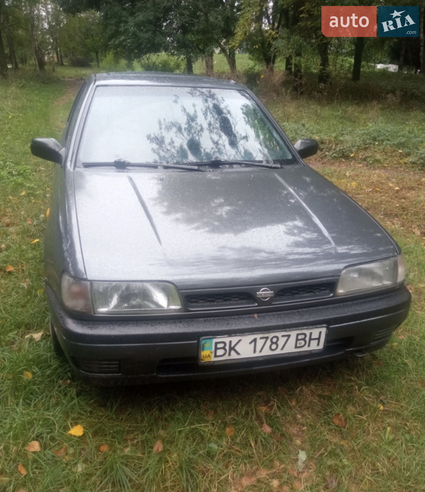 Nissan Sunny, 1993