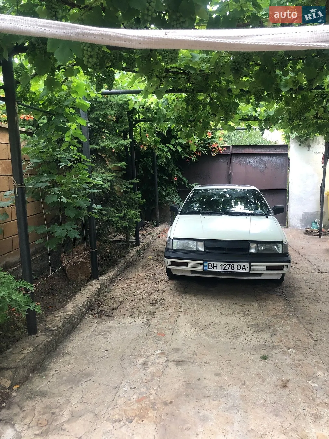 Nissan Sunny, 1987