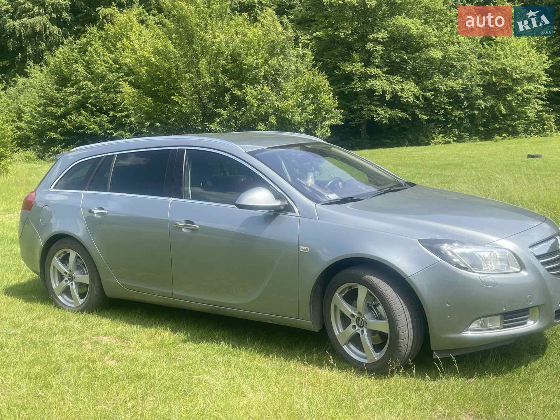 Opel Insignia, 2013