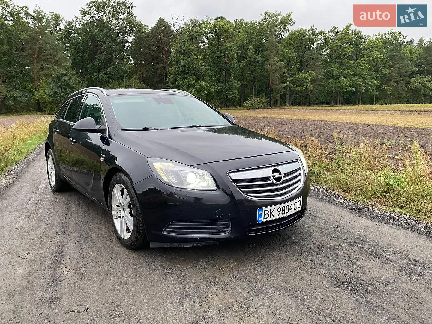 Opel Insignia, 2010