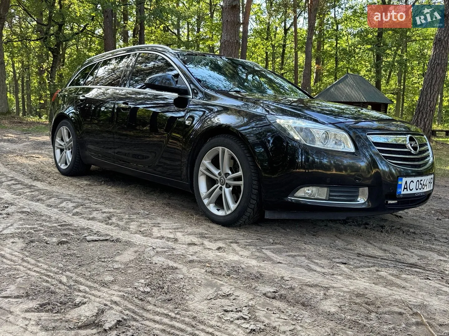 Opel Insignia, 2010