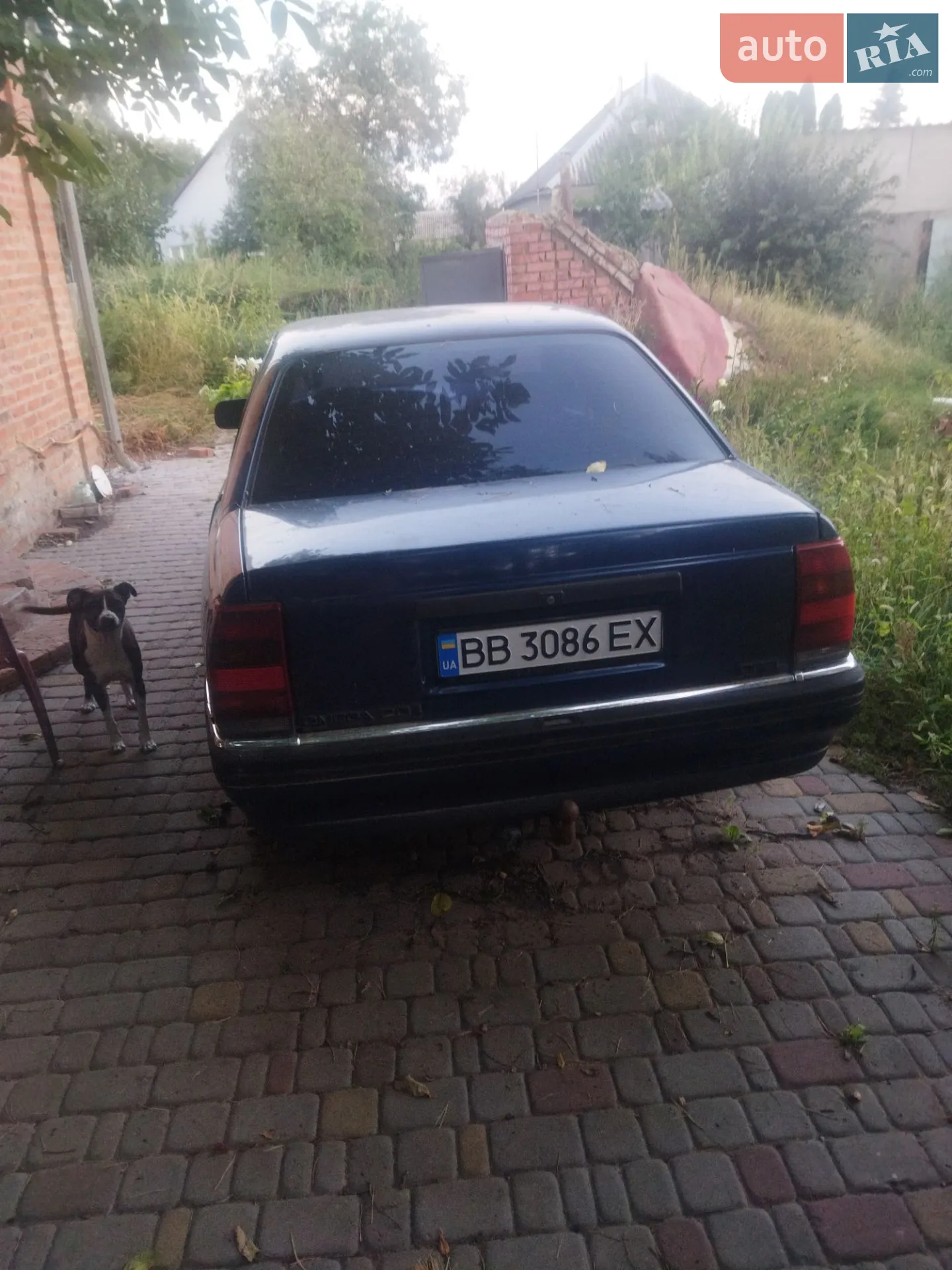 Opel Omega, 1992