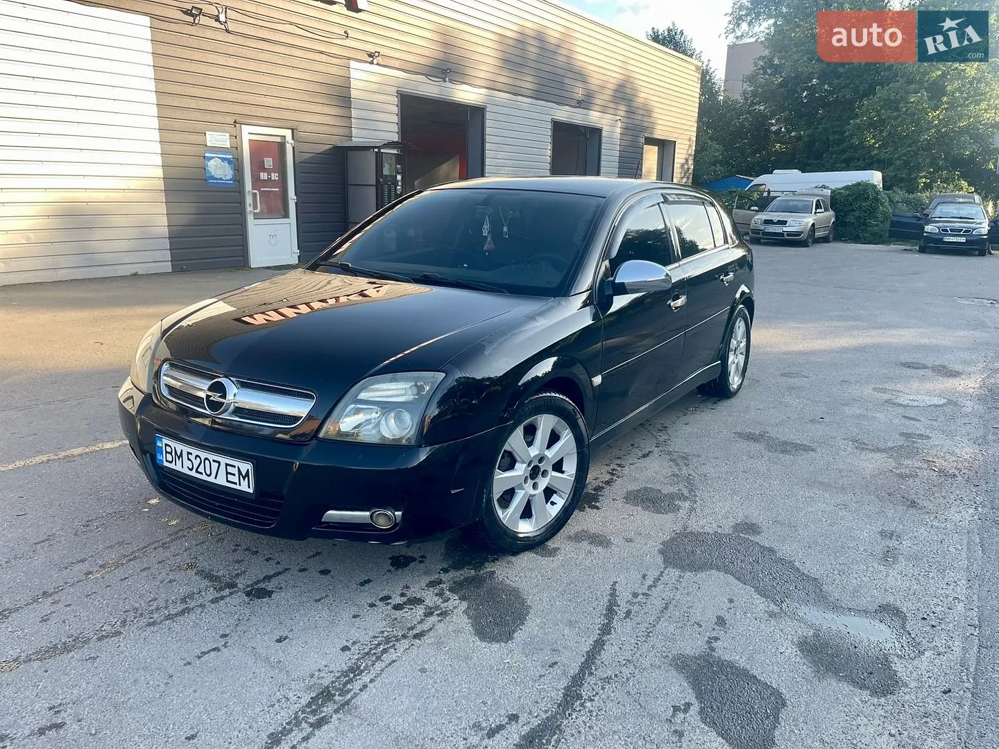 Opel Signum, 2005