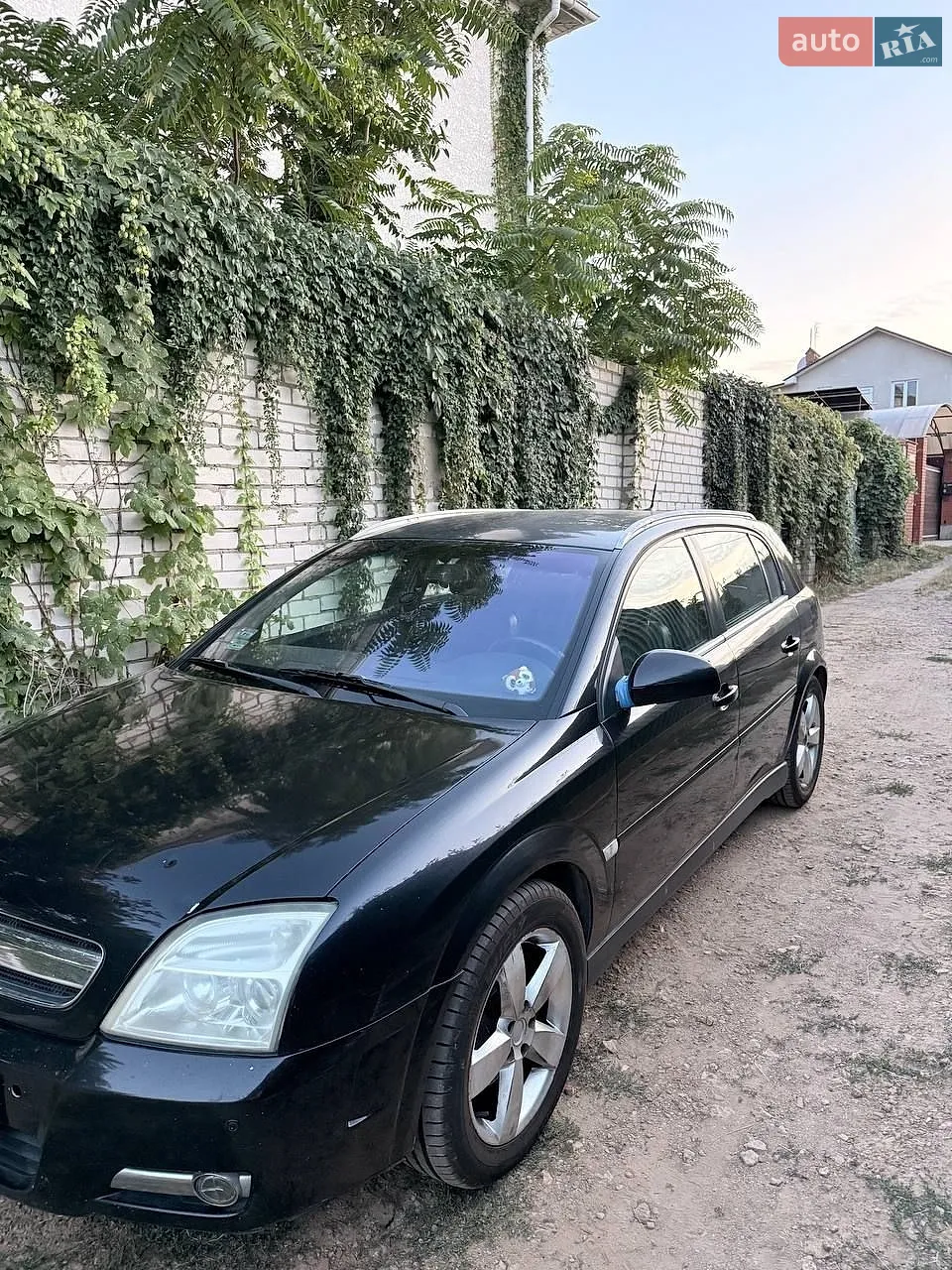 Opel Signum, 2004