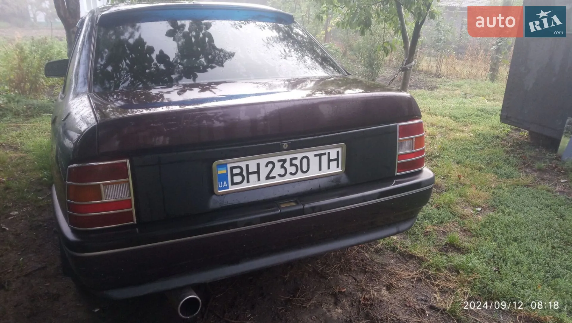 Opel Vectra, 1991