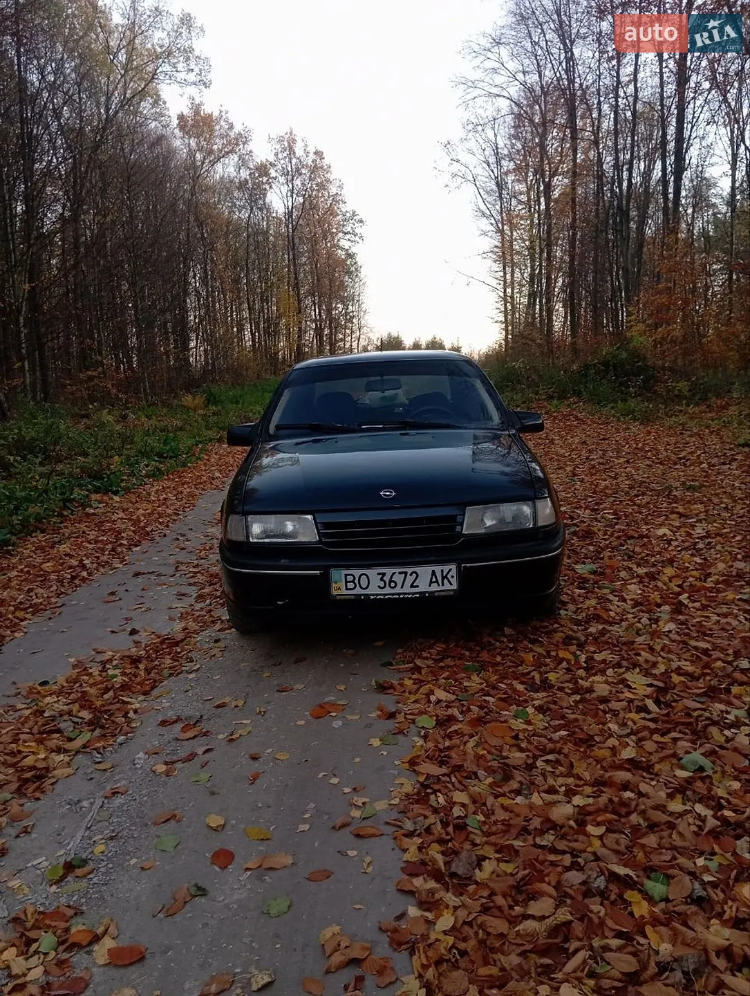 Opel Vectra, 1990