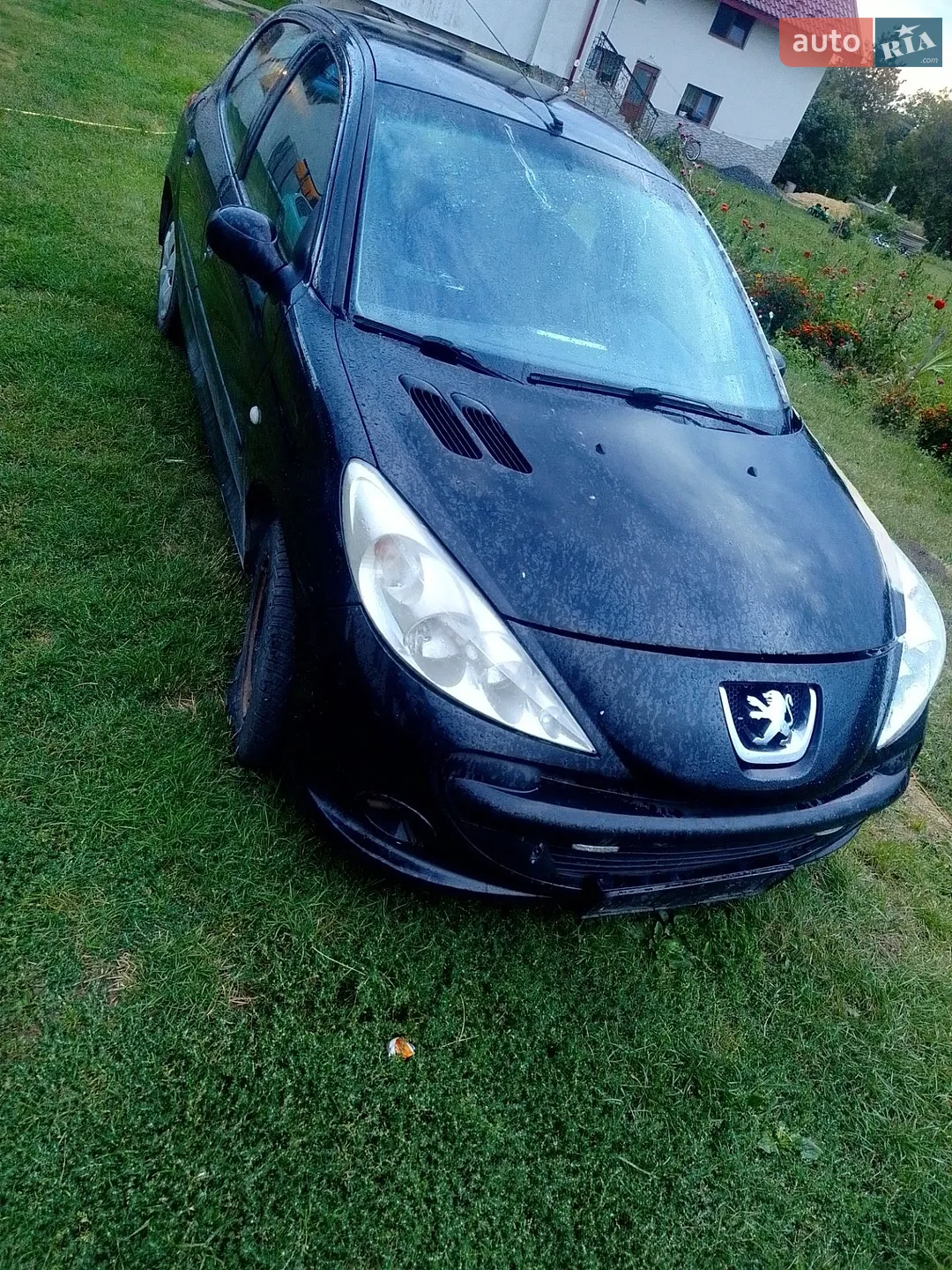 Peugeot 206 plus, 2010