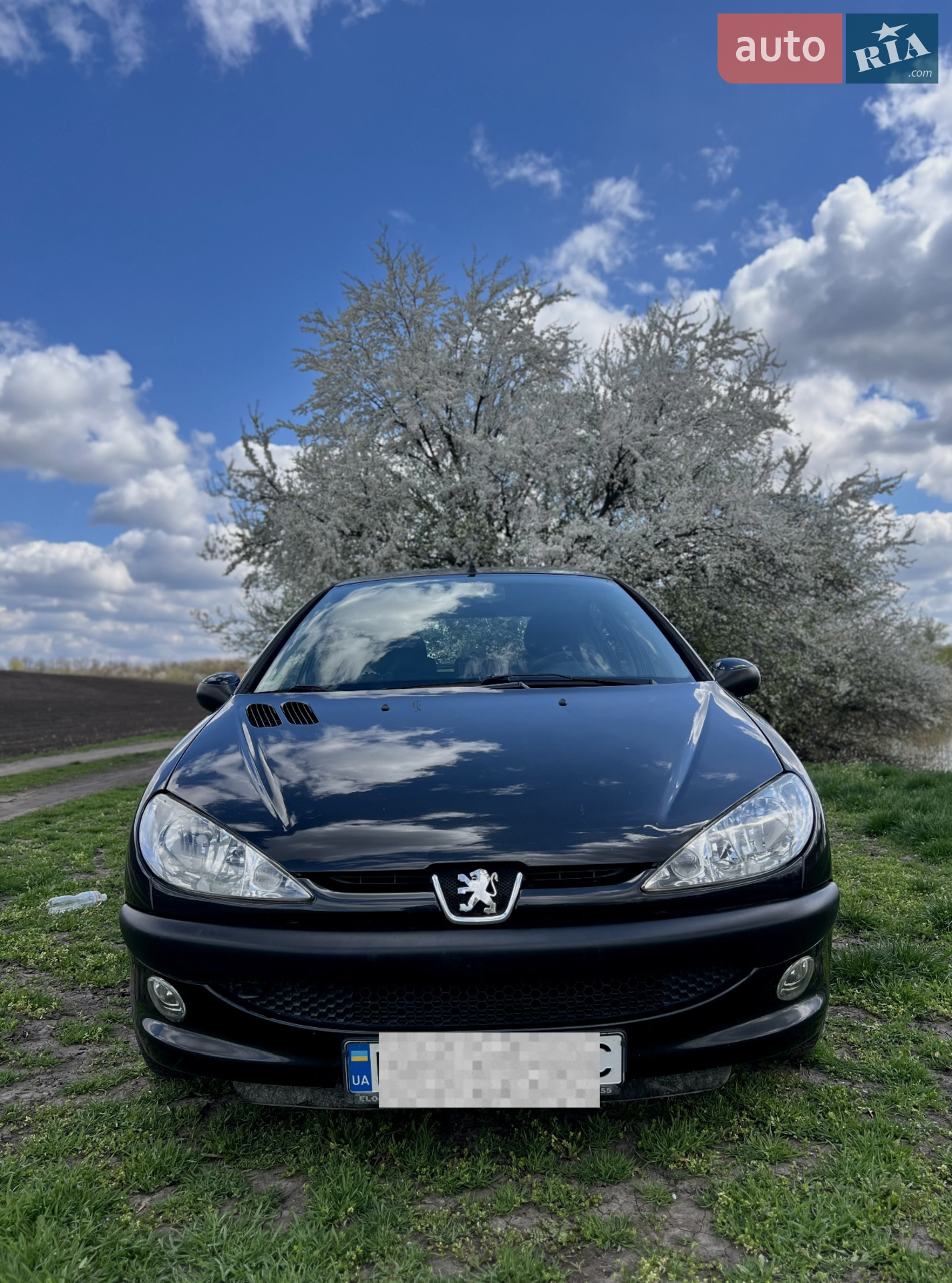 Peugeot 206, 2005