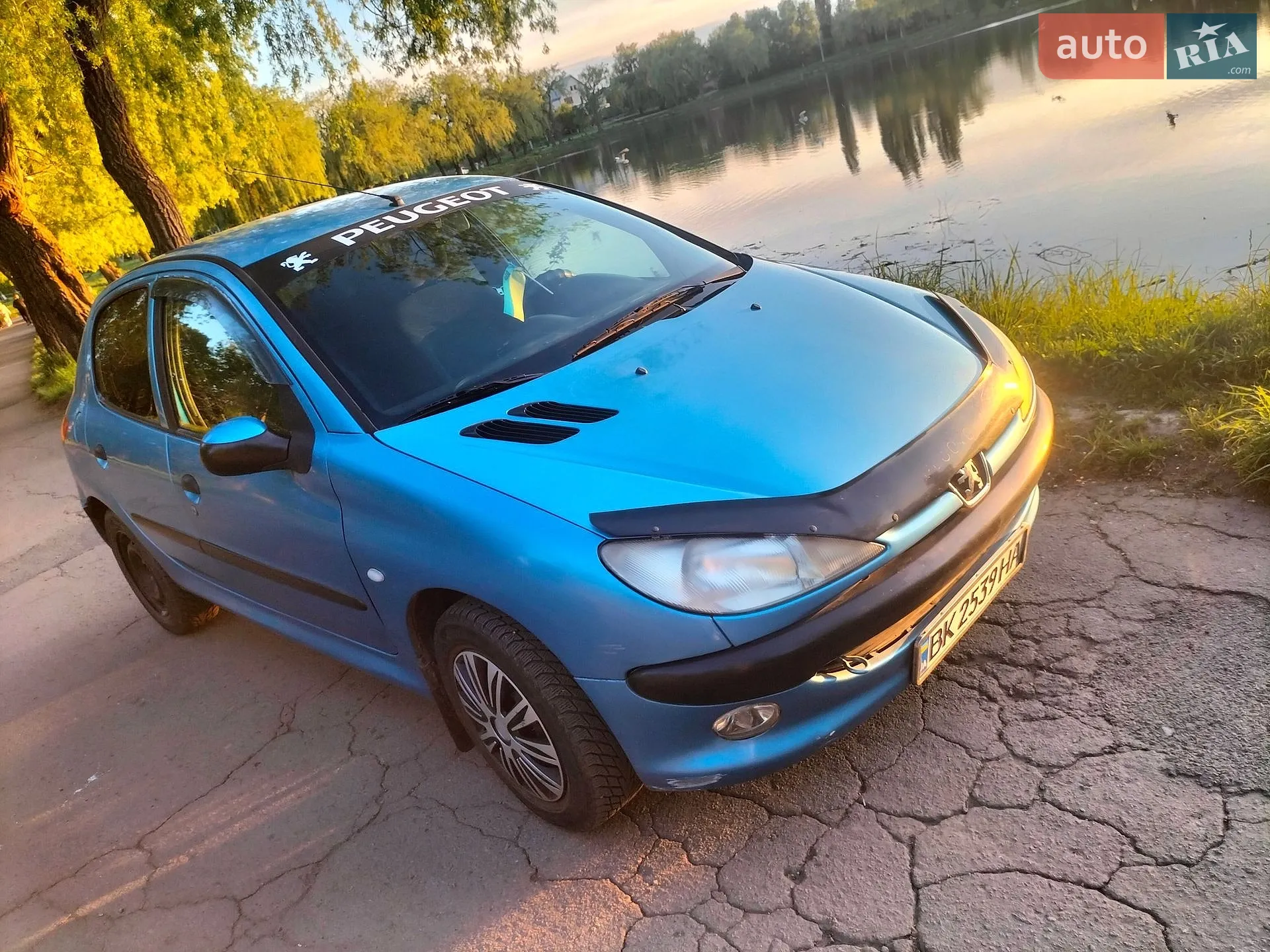 Peugeot 206, 2003