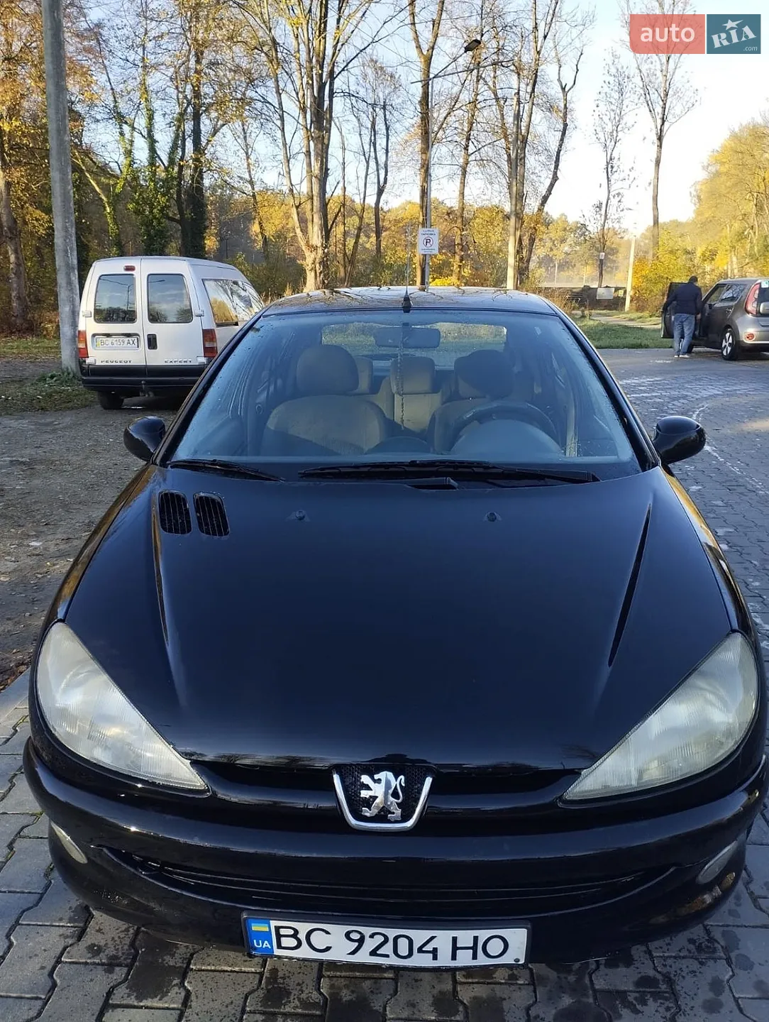Peugeot 206, 2002