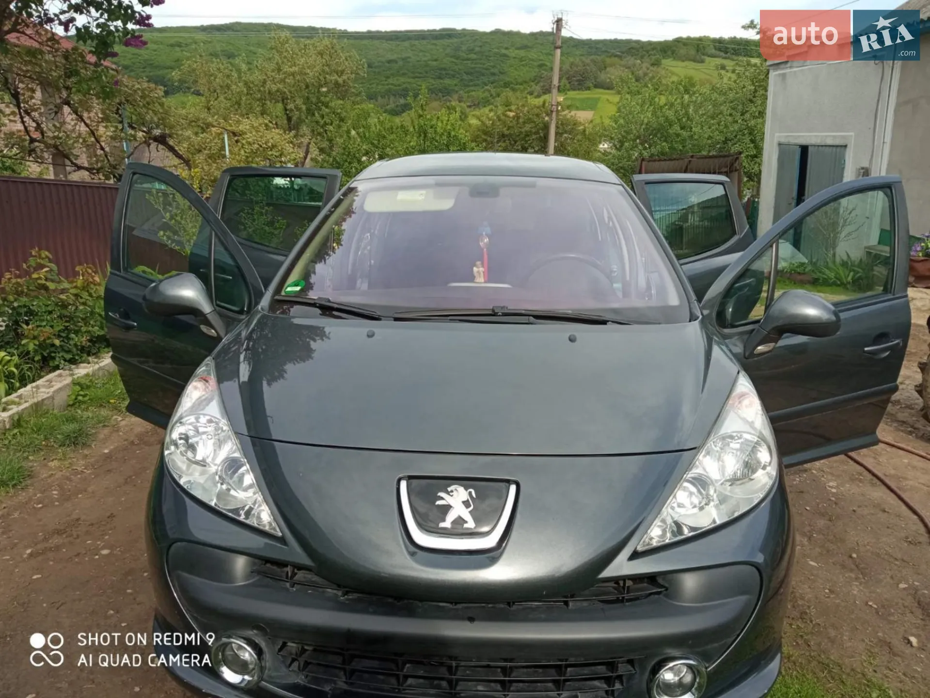 Peugeot 207, 2007