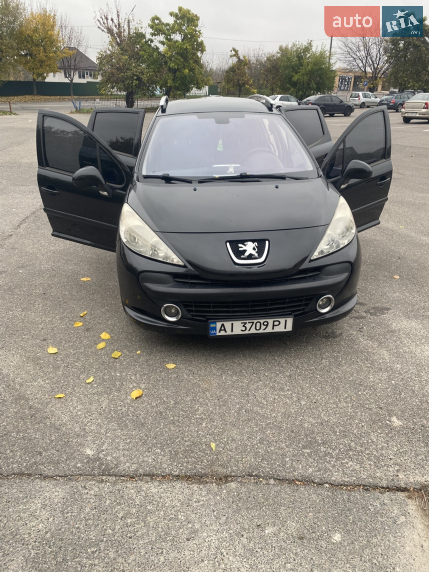 Peugeot 207, 2008