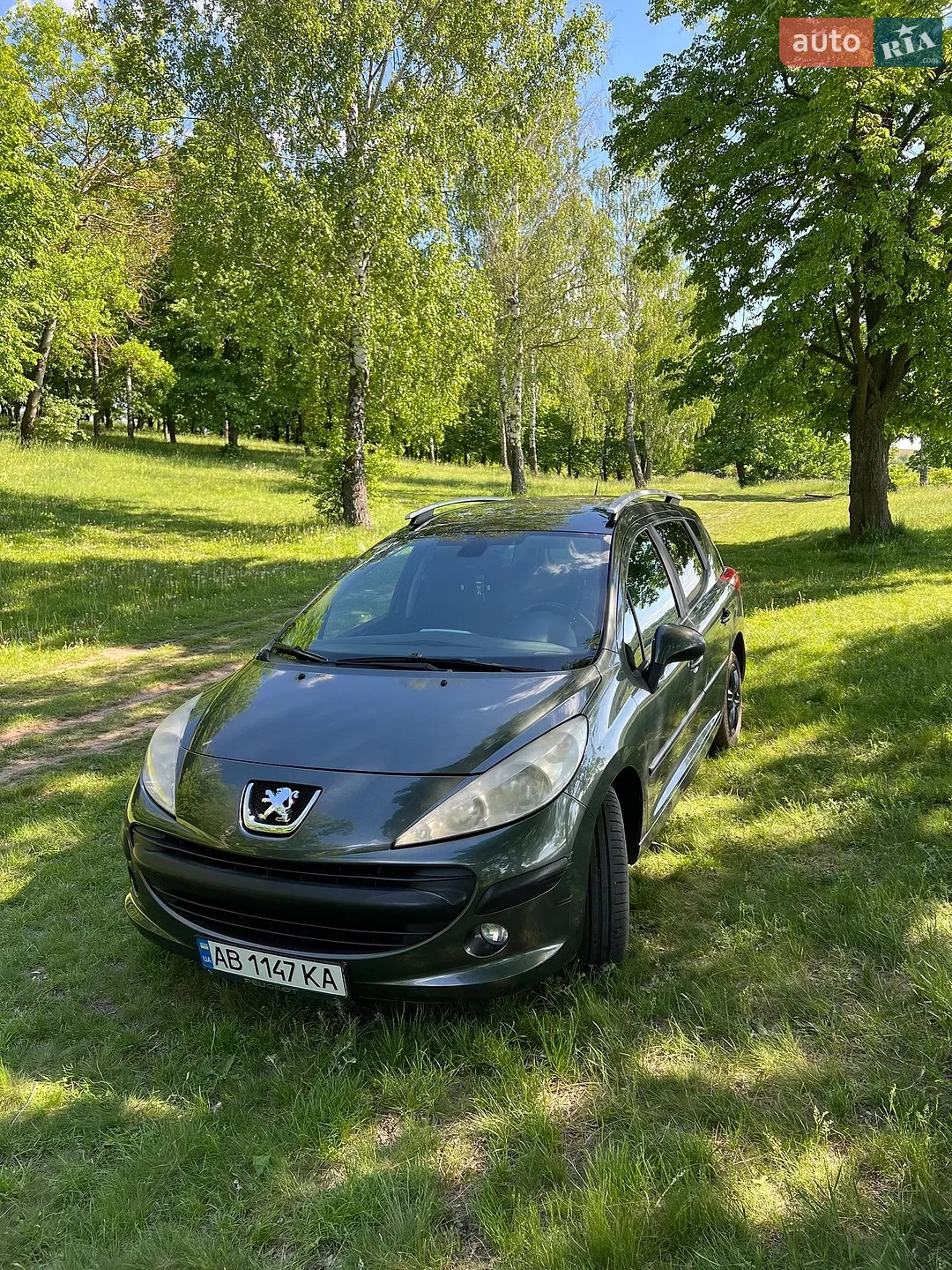 Peugeot 207, 2007