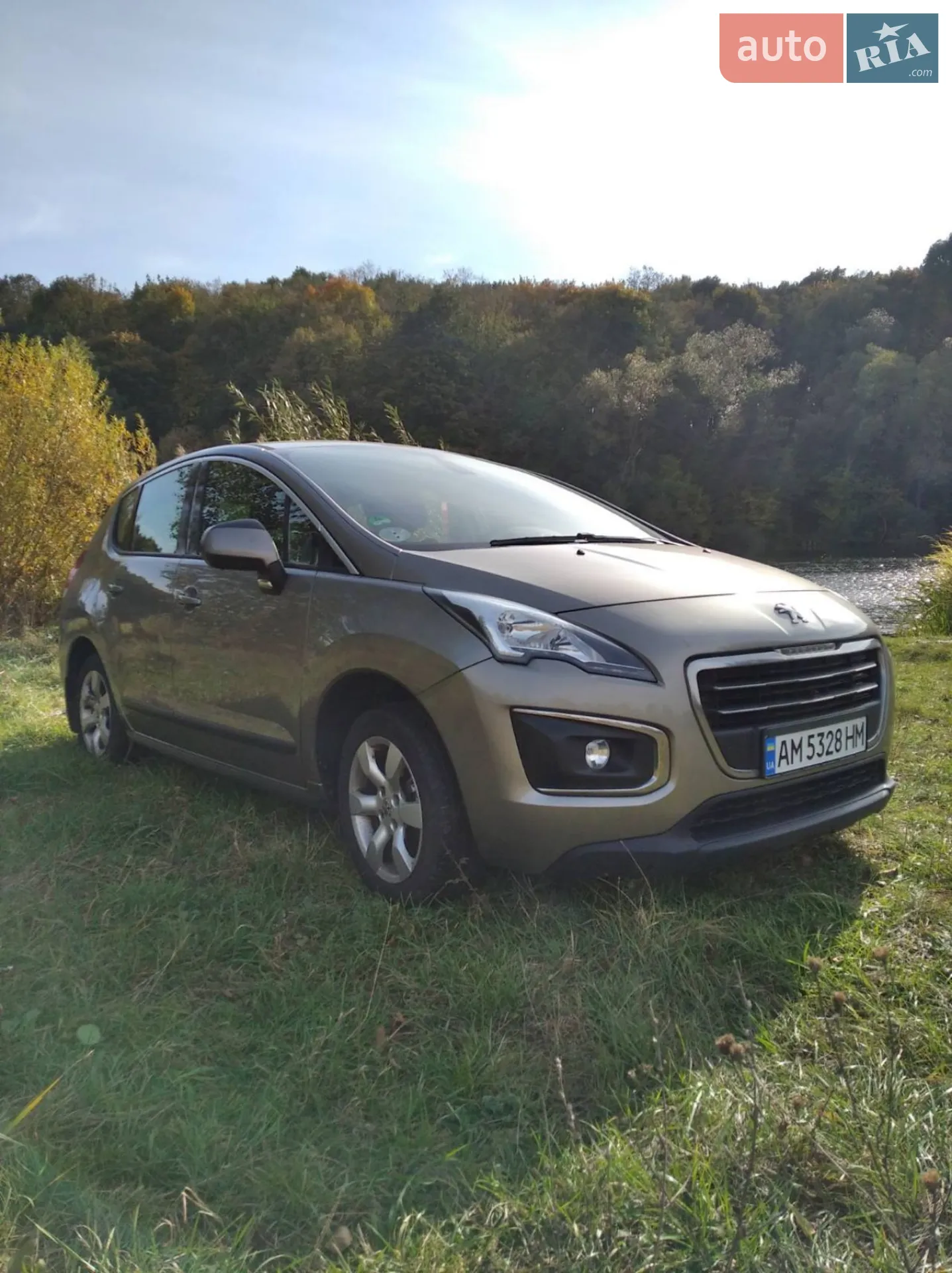 Peugeot 3008, 2013