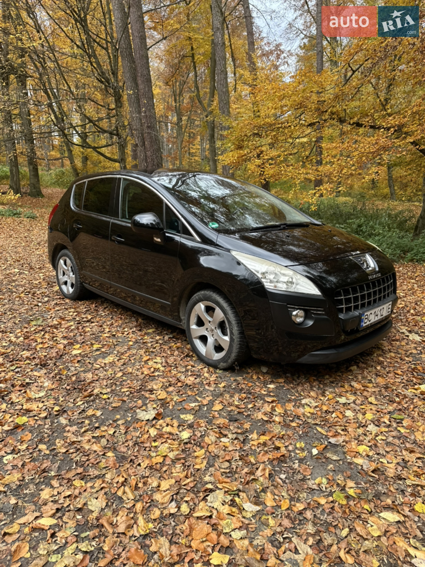 Peugeot 3008, 2010