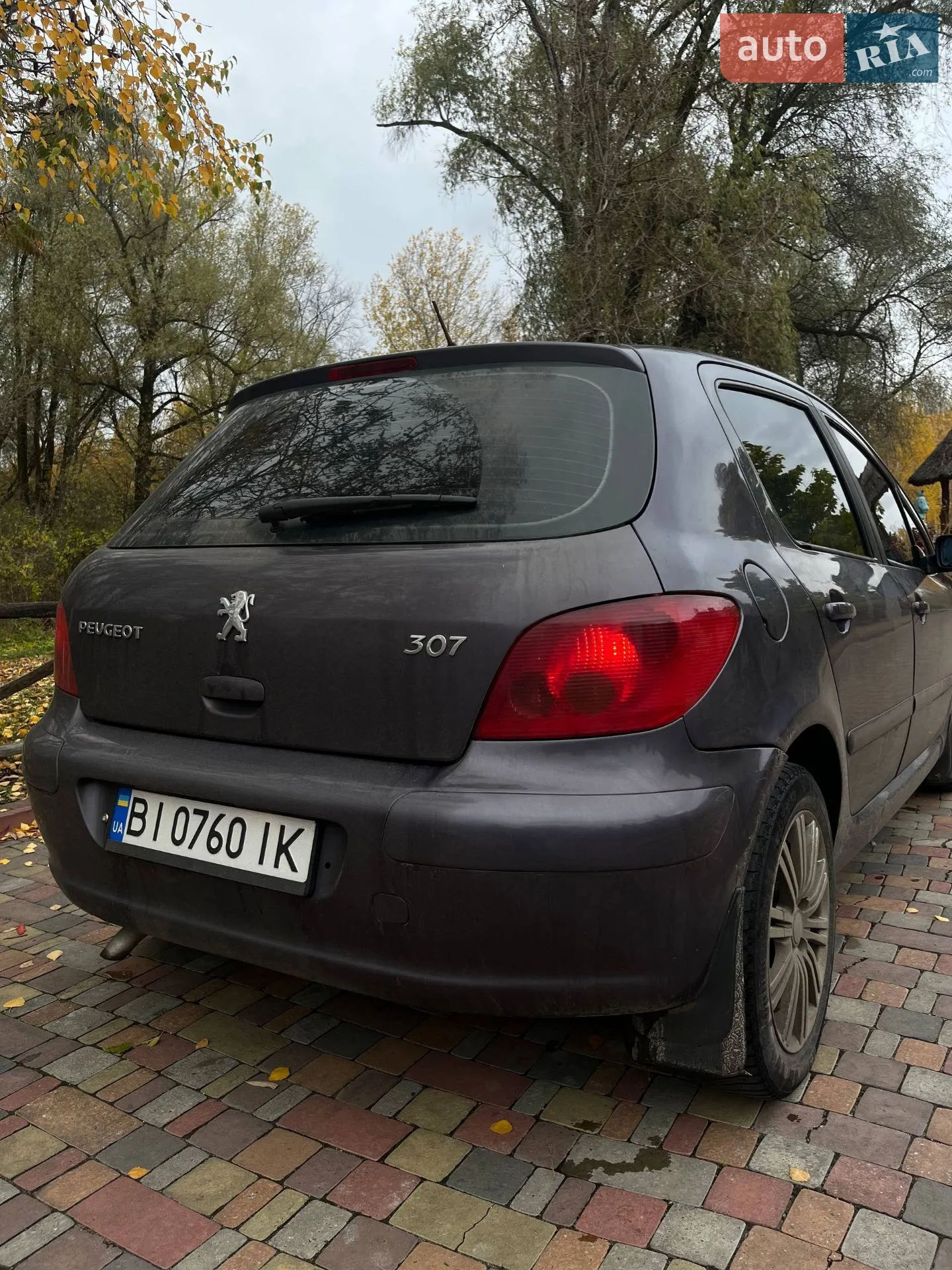 Peugeot 307, 2002