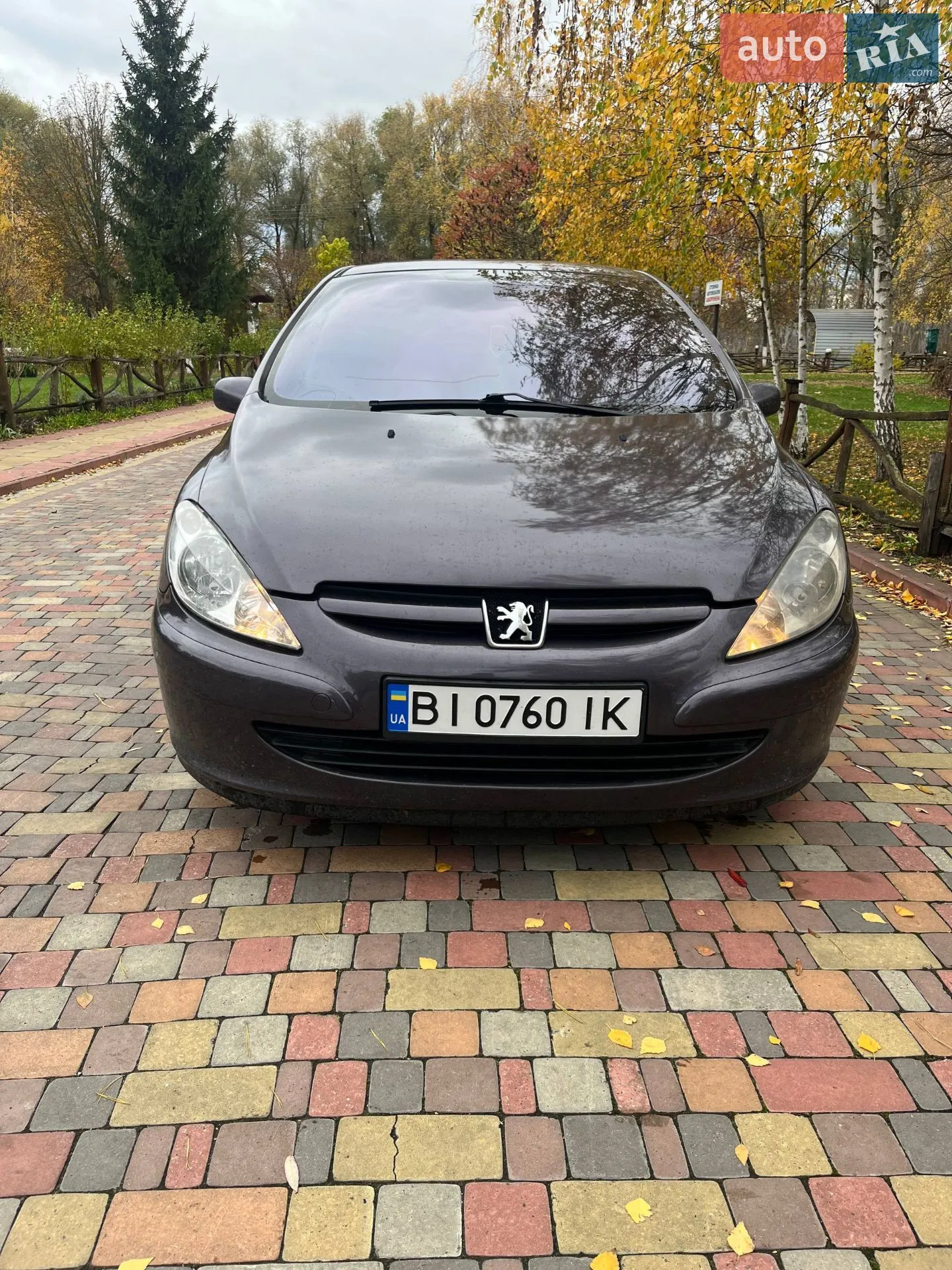 Peugeot 307, 2002