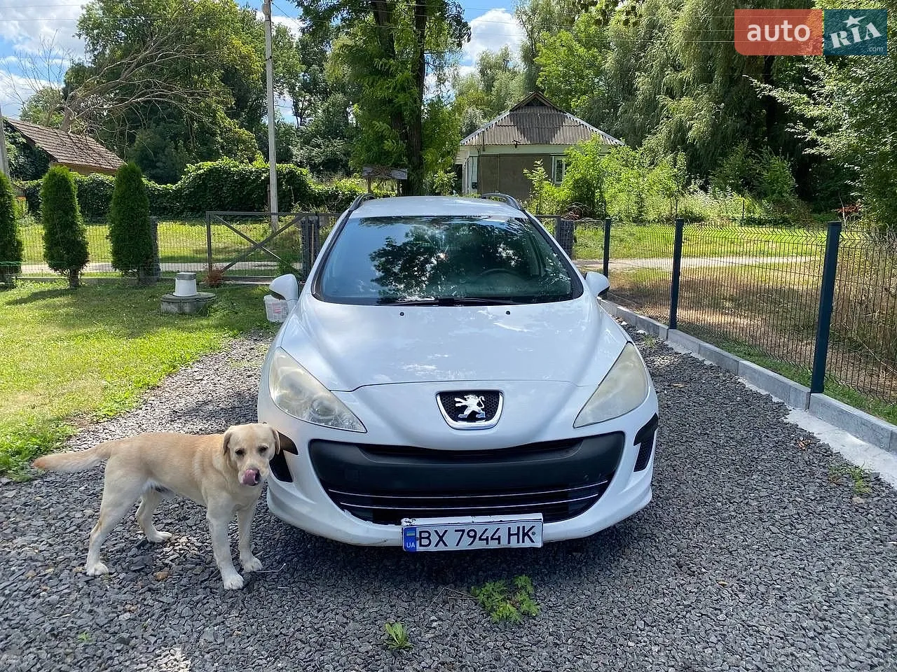 Peugeot 308, 2010