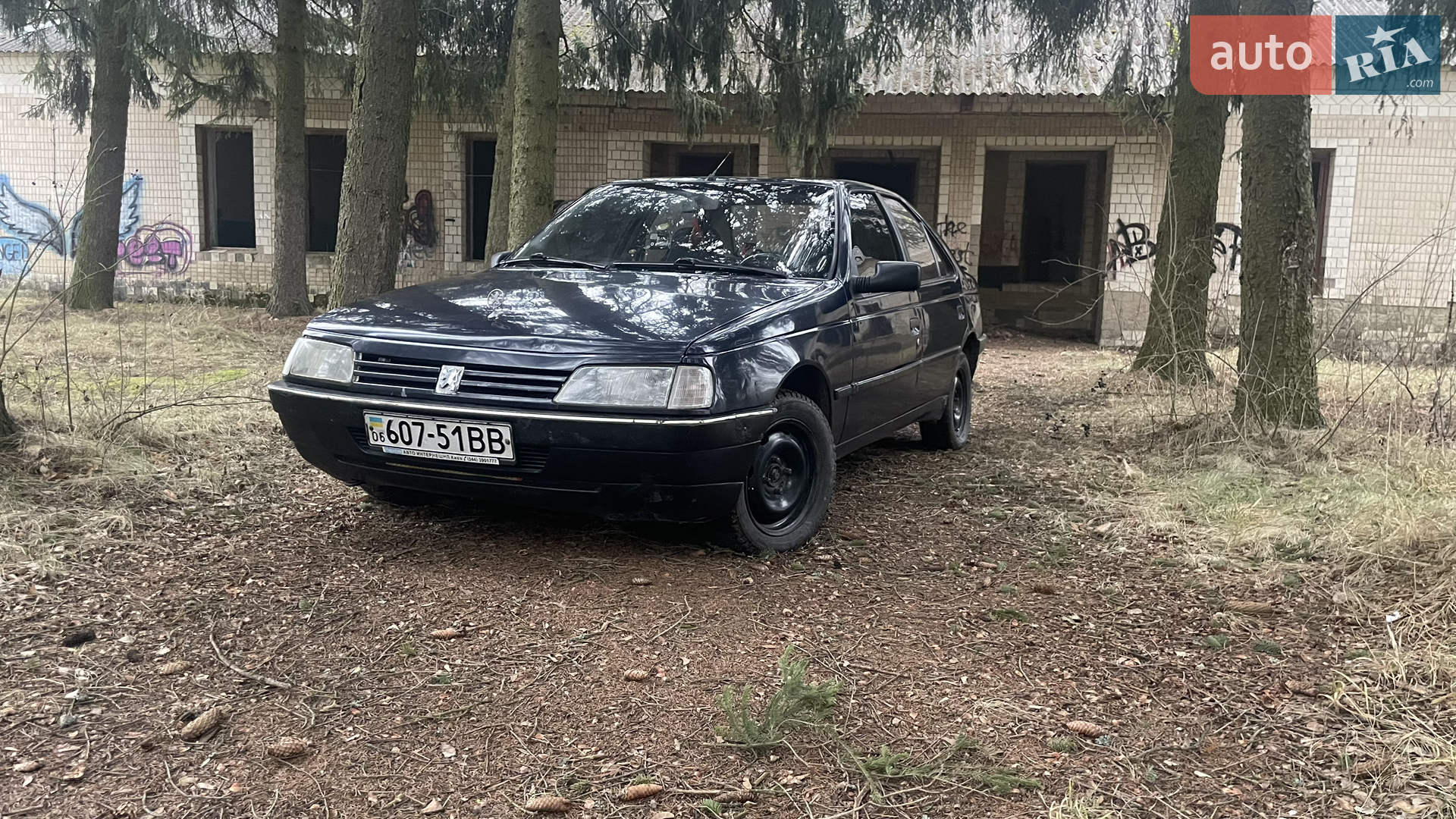 Peugeot 405, 1989