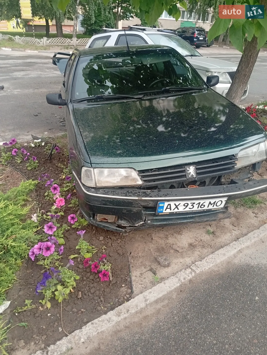 Peugeot 405, 1991