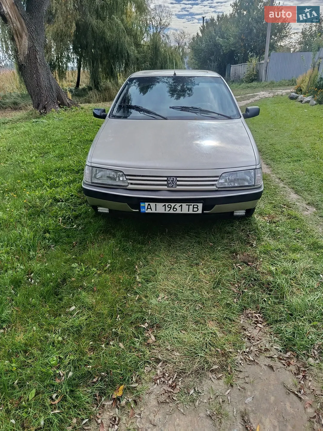 Peugeot 405, 1988