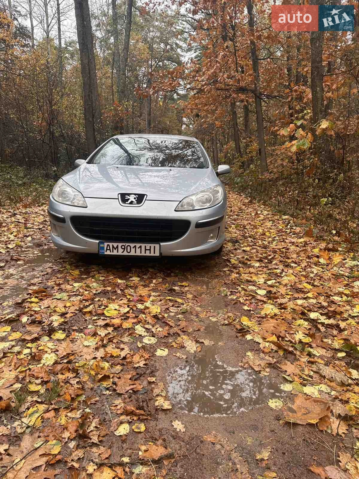 Peugeot 407, 2006
