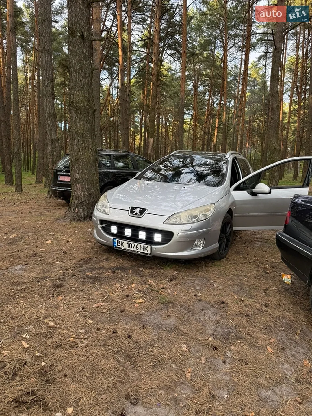 Peugeot 407, 2009