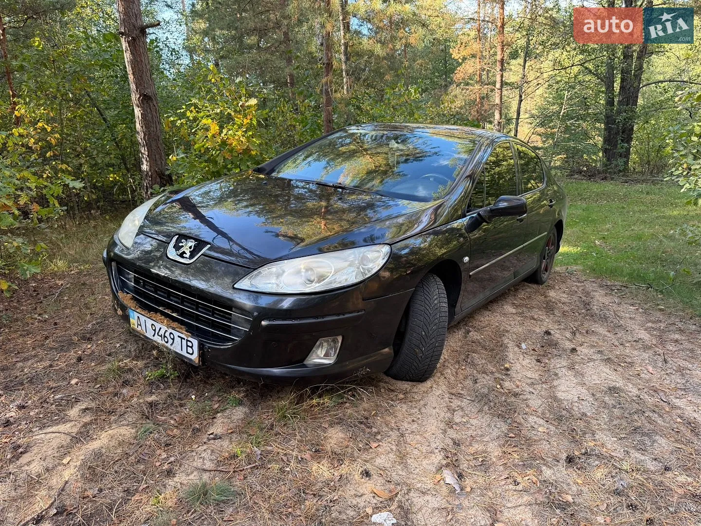Peugeot 407, 2007