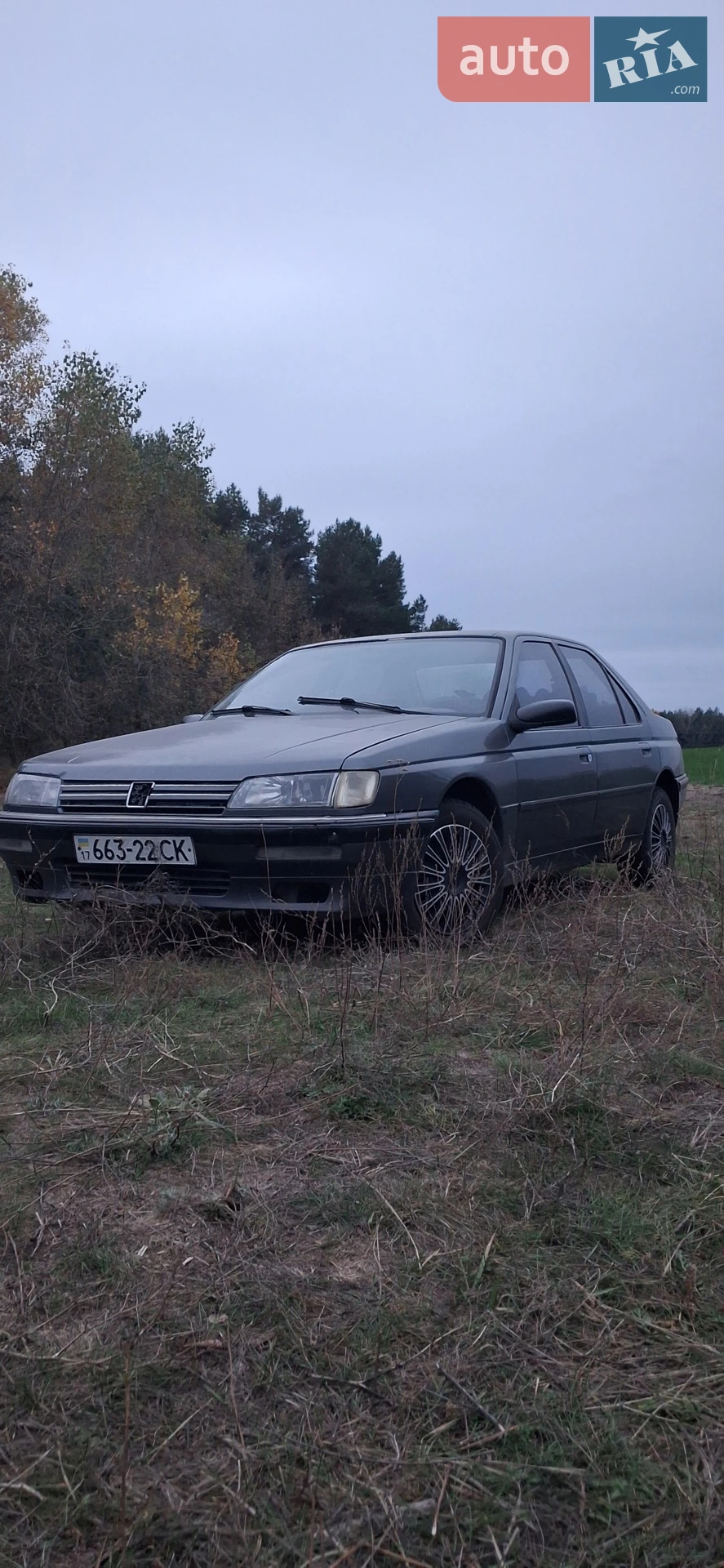 Peugeot 605, 1991