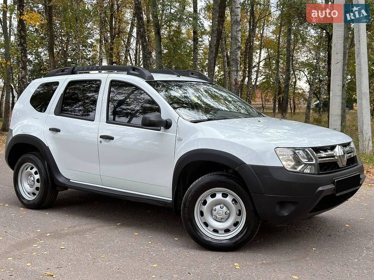 Renault Duster, 2017