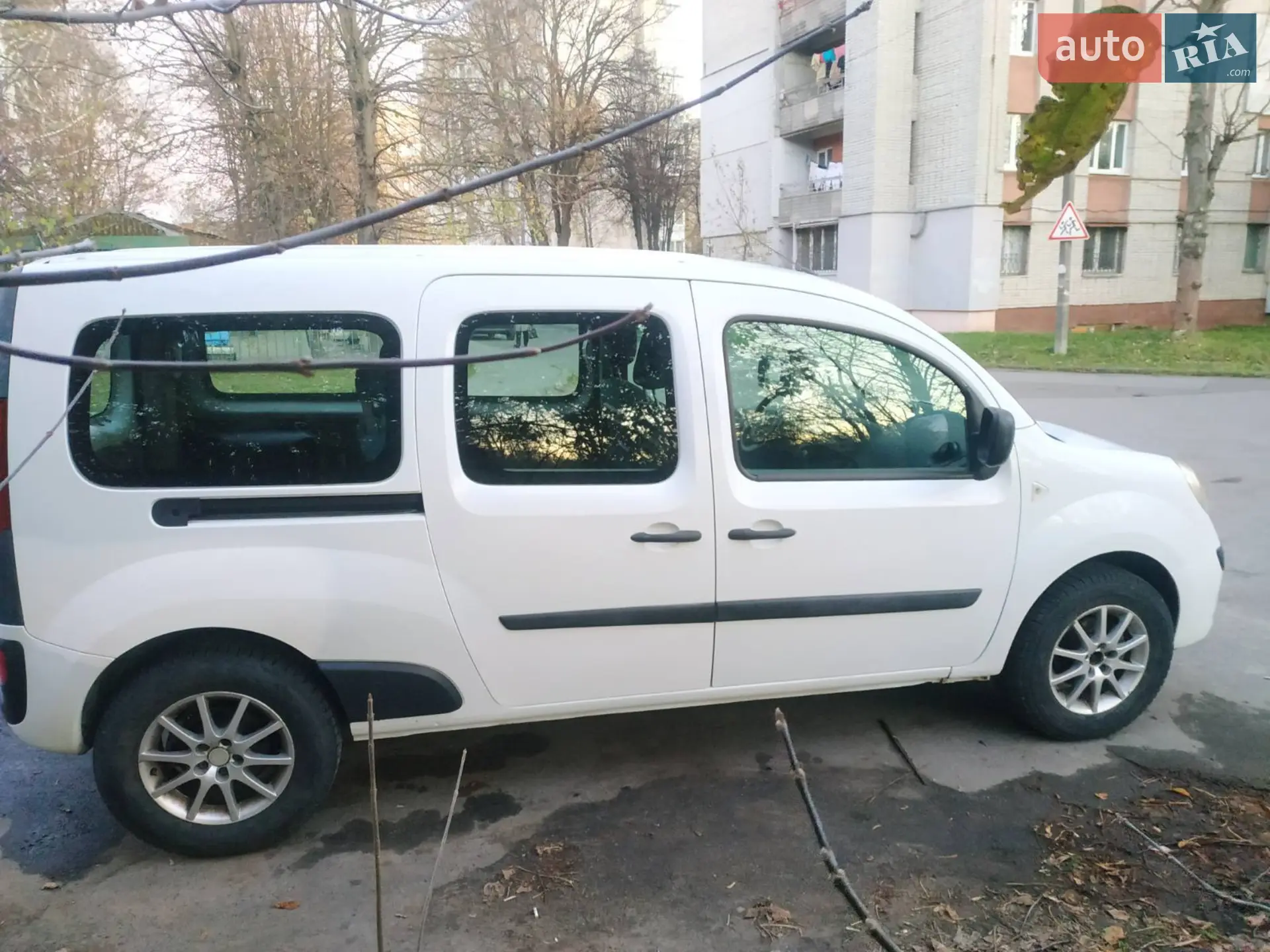 Renault Kangoo, 2010