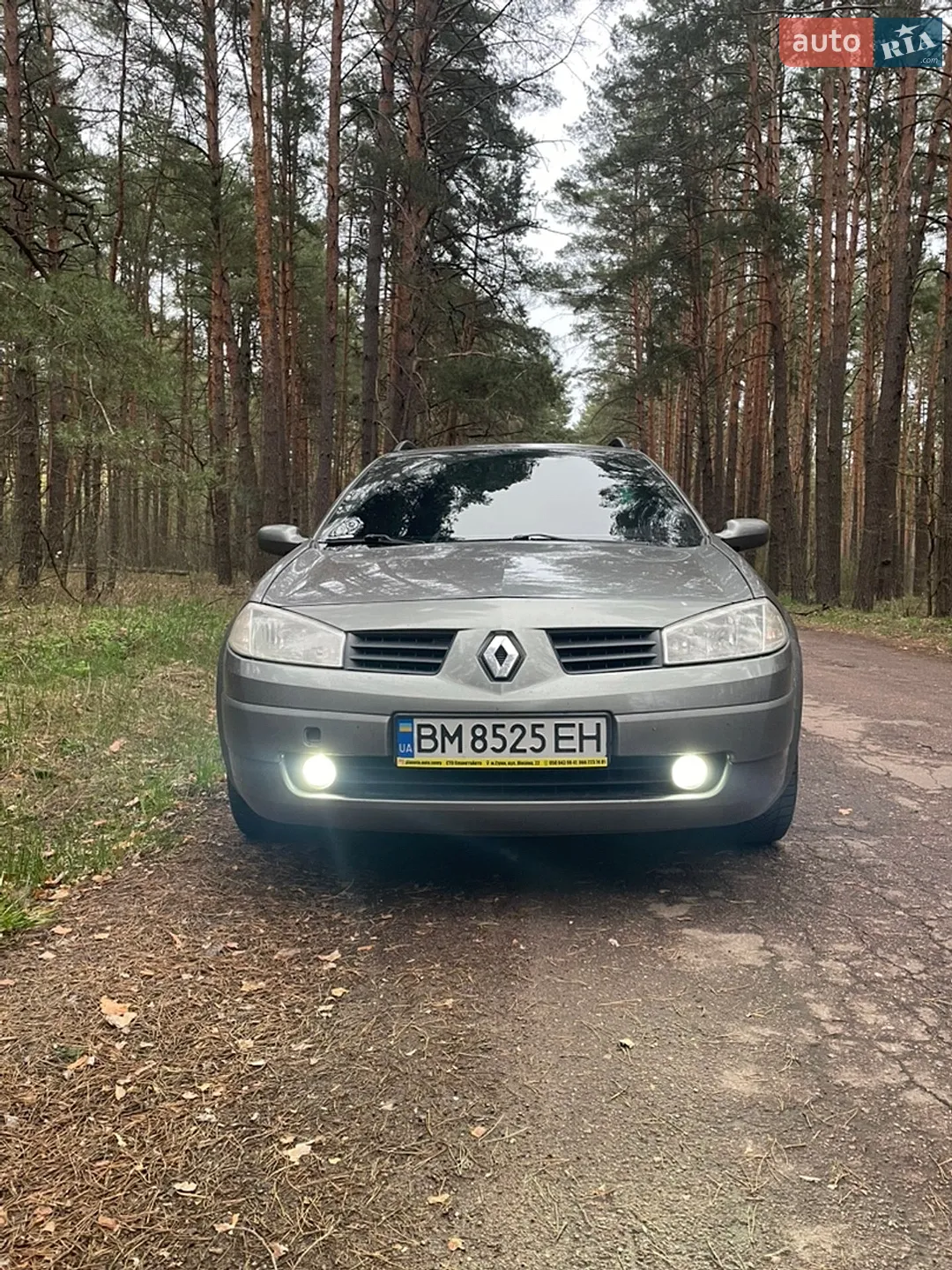 Renault Megane, 2004