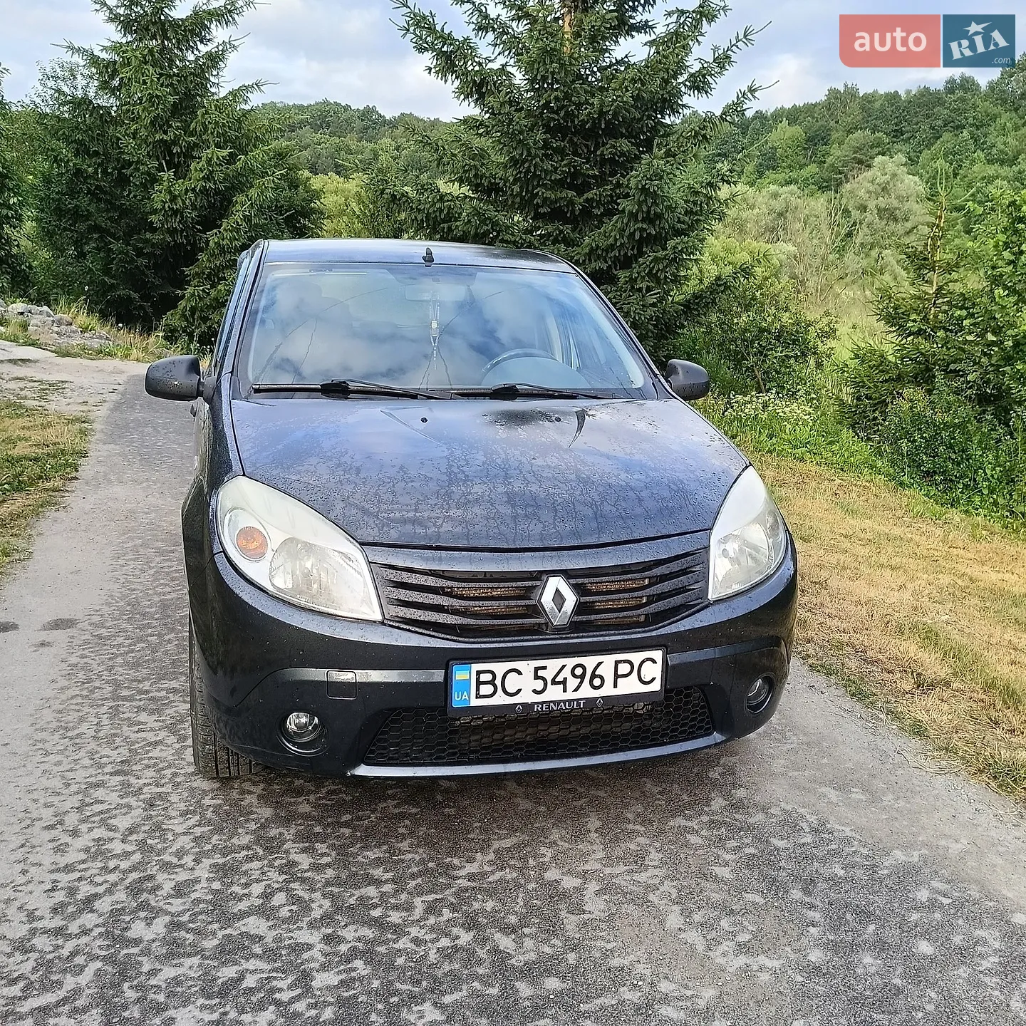 Renault Sandero, 2010