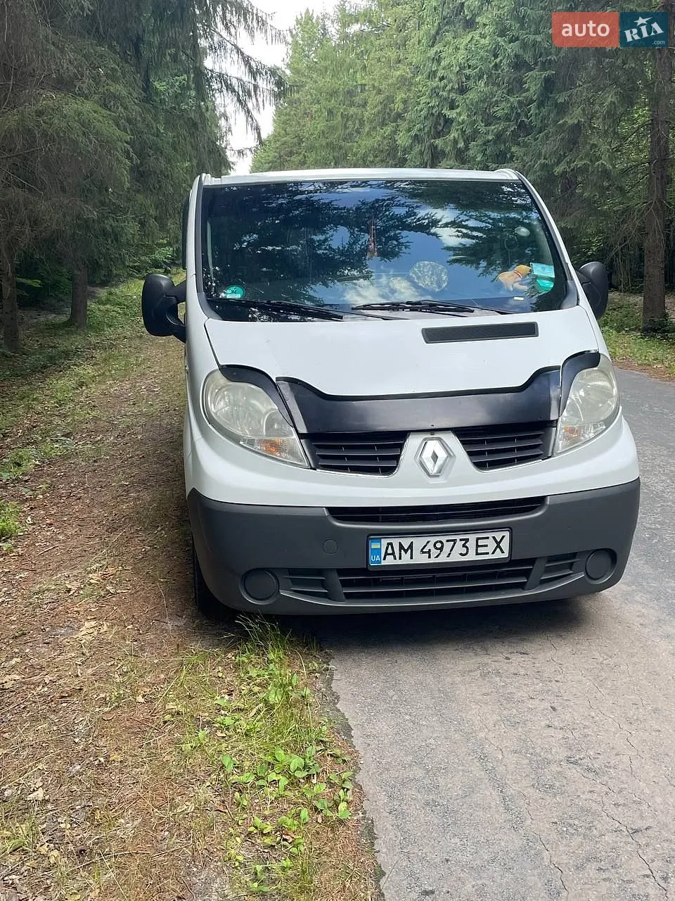 Renault Trafic, 2010