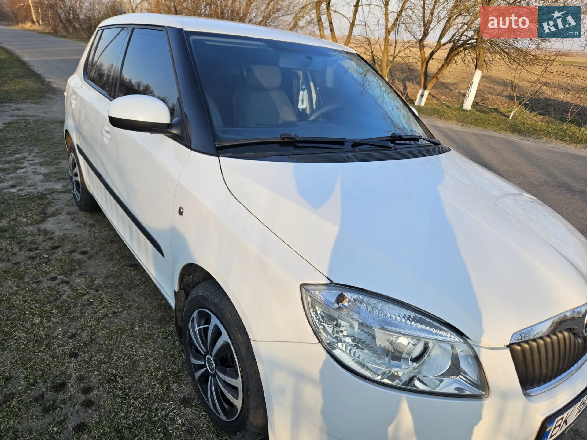 Skoda Fabia, 2010