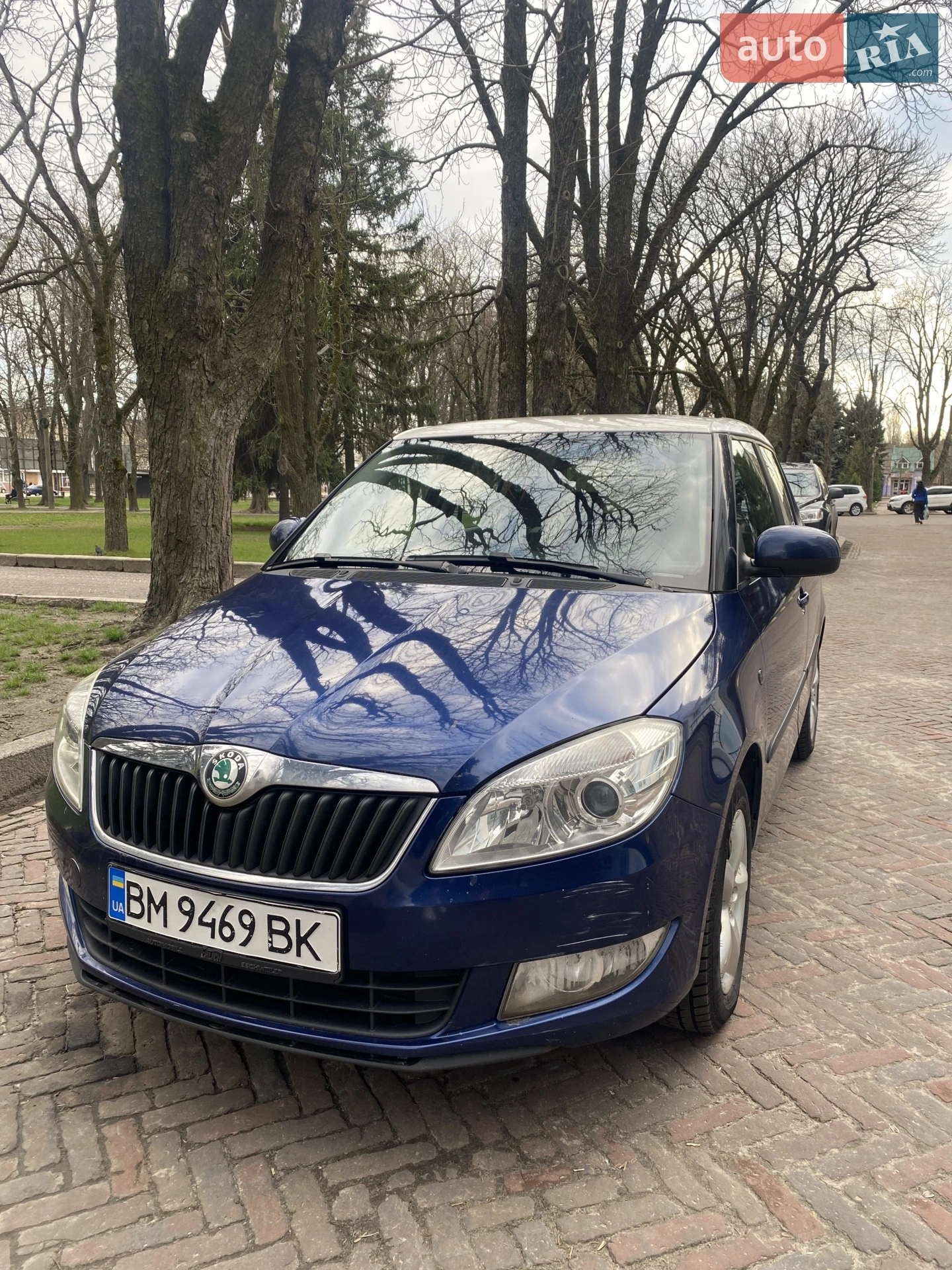 Skoda Fabia, 2010