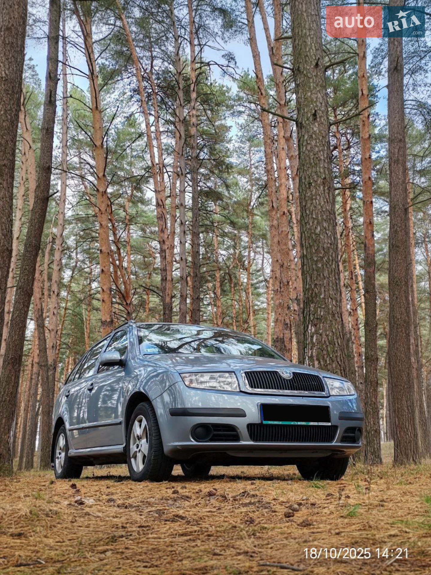Skoda Fabia, 2004