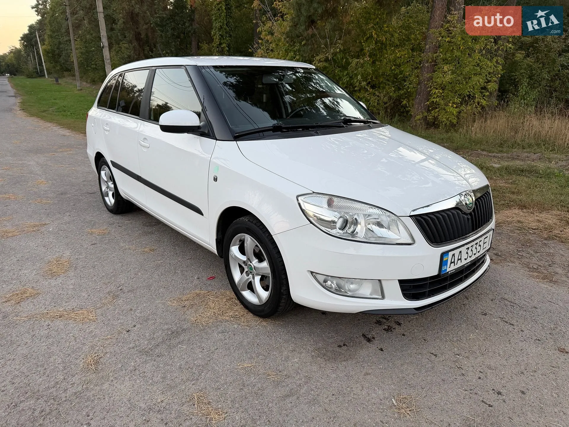 Skoda Fabia, 2011