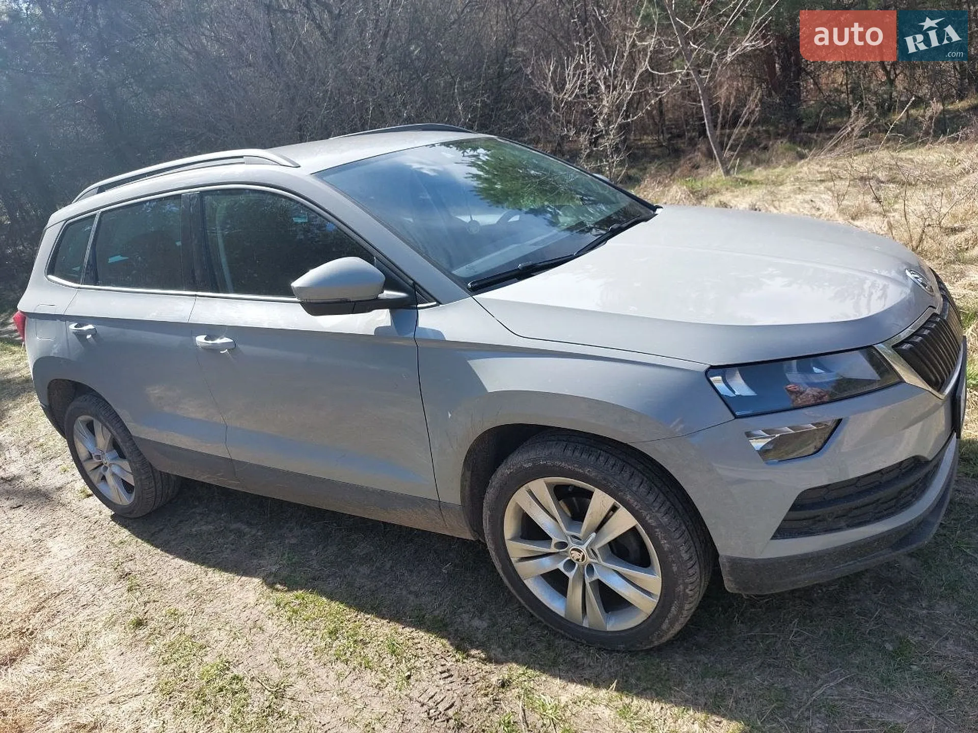 Skoda Karoq, 2019