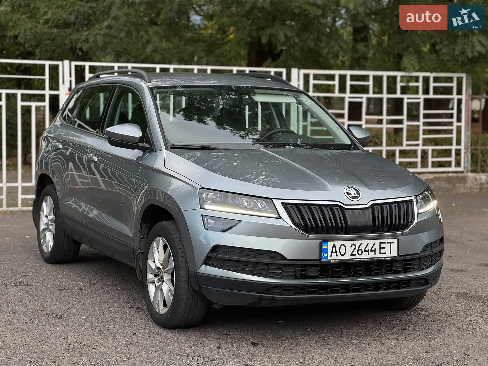 Skoda Karoq, 2020