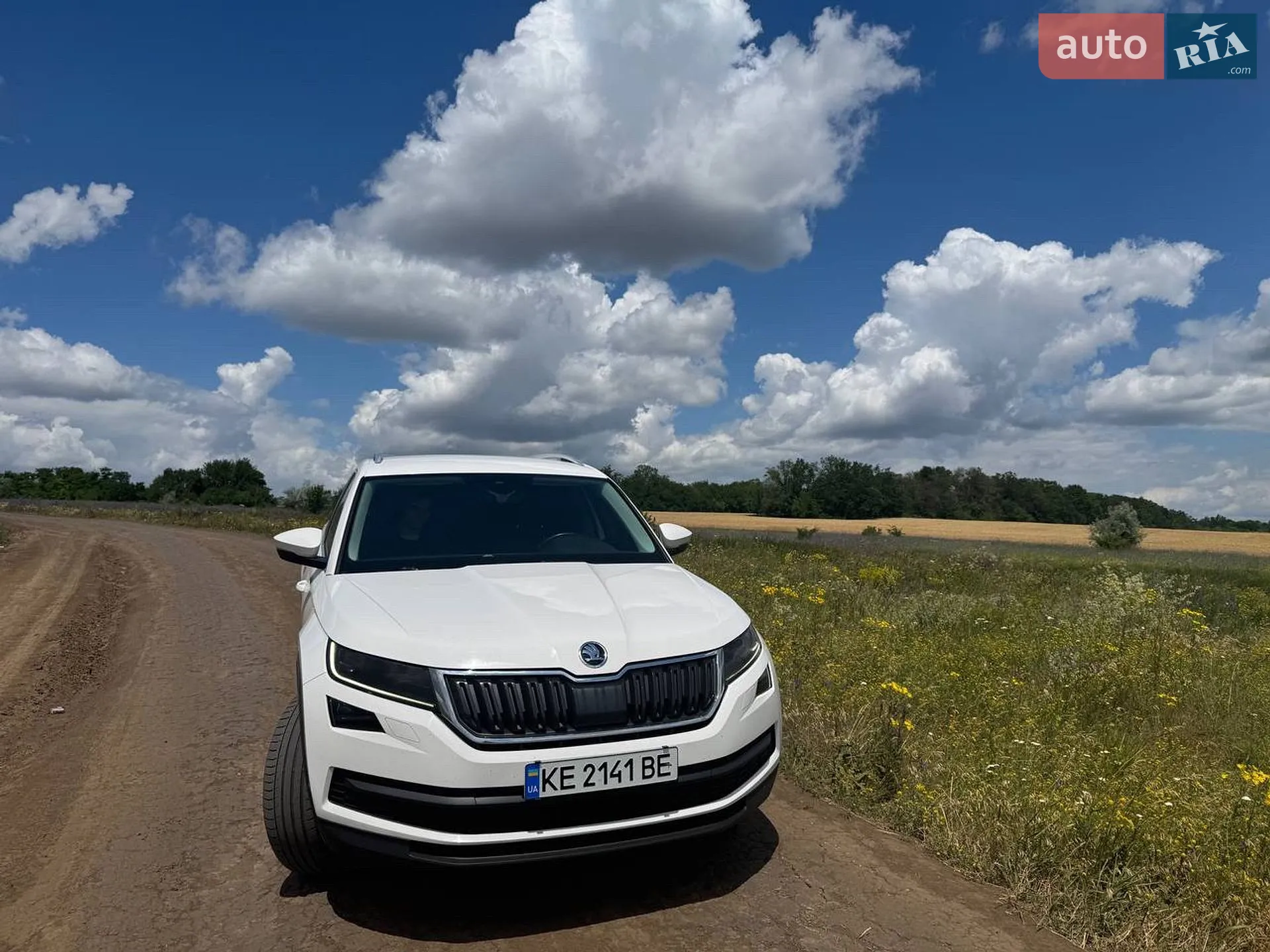 Skoda Kodiaq, 2017